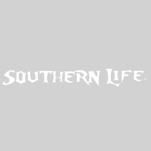 Blue & White Southern Life Decal
